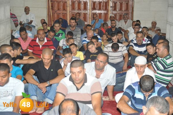 bazsalah lud 712 (13).JPG